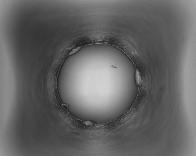 X0000115700961200911191226