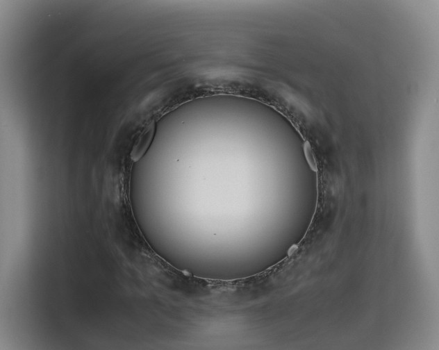 X0000115700965200911191226