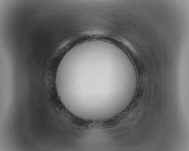 X0000115700967200911191226