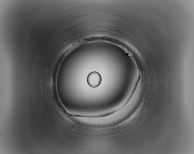 X0000115700969200911191226