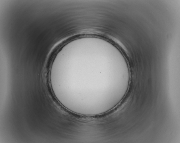 X0000115700971200911191226