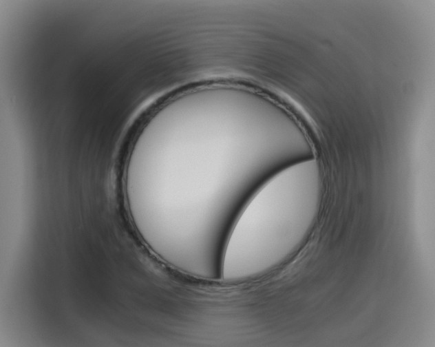 X0000115700975200911191226