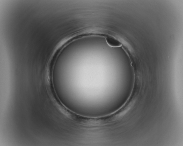 X0000115700981200911191226