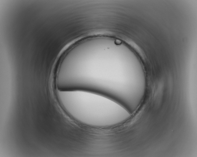 X0000115700983200911191226