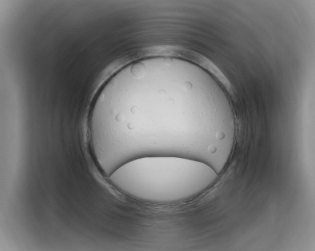 X0000115700994200911191226