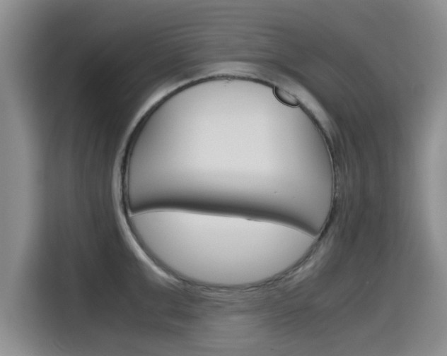 X0000115700999200911191226