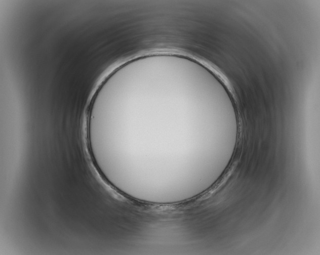 X0000115701006200911191226