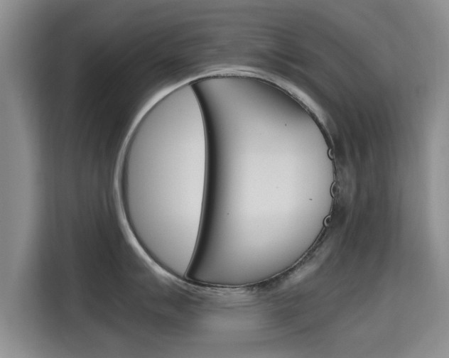 X0000115701007200911191226