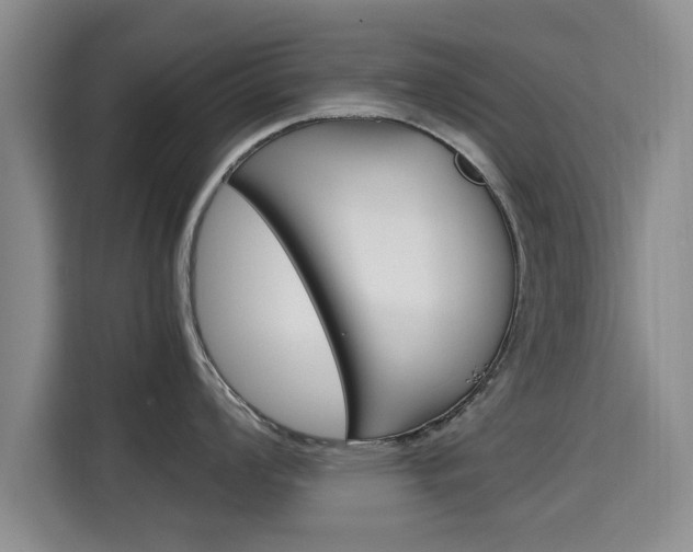 X0000115701008200911191226