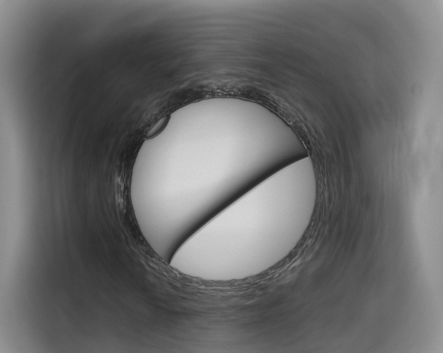 X0000115701010200911191225