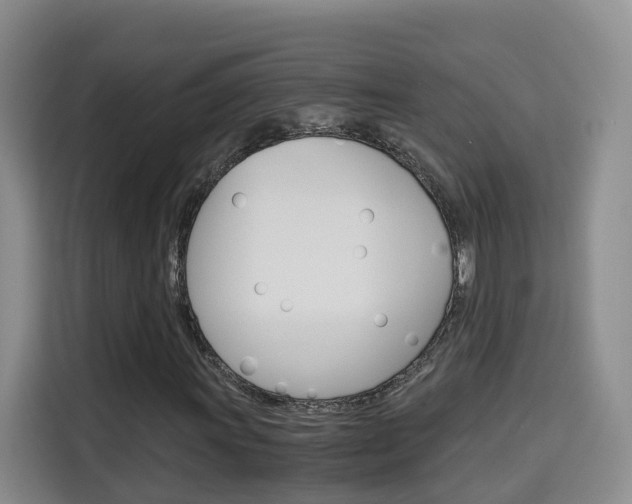 X0000115701011200911191225