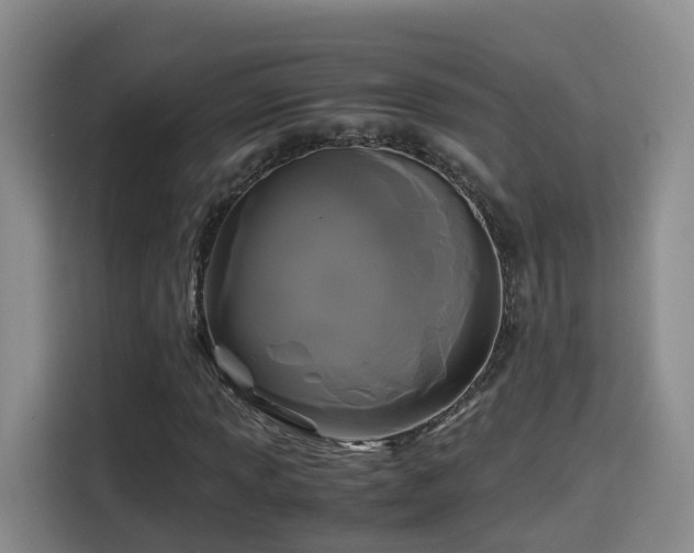 X0000115701013200911191225