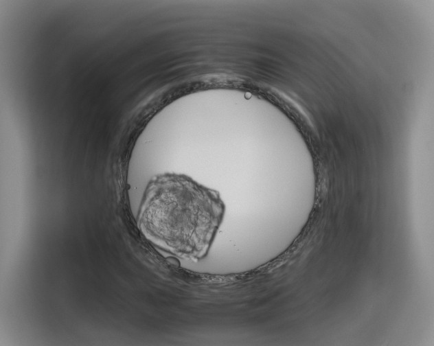 X0000115701015200911191225