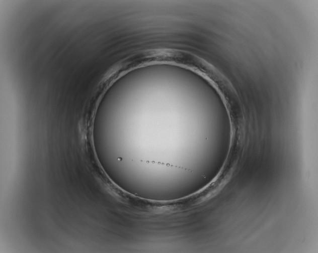 X0000115701017200911191225