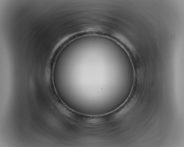 X0000115701021200911191225