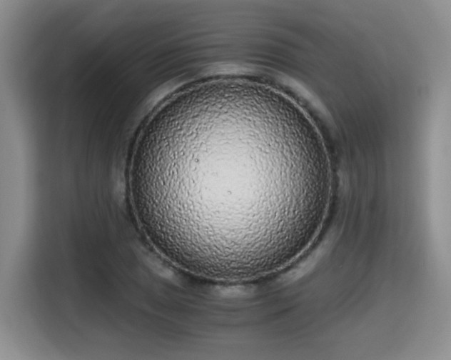 X0000115701025200911191225