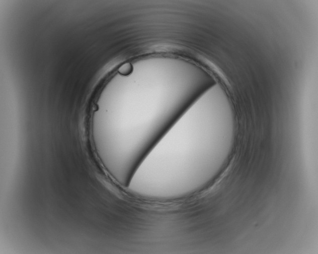 X0000115701026200911191225