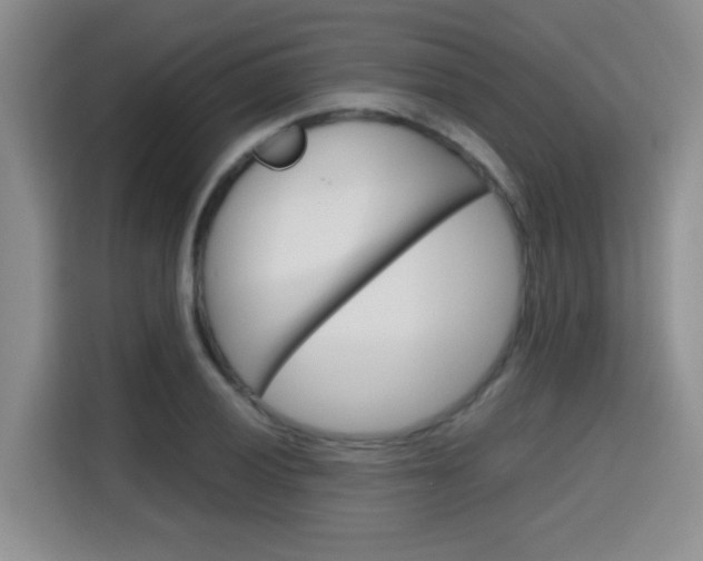 X0000115701028200911191225