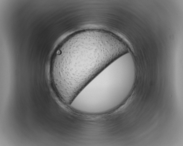 X0000115701030200911191225