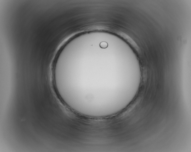 X0000115701031200911191225