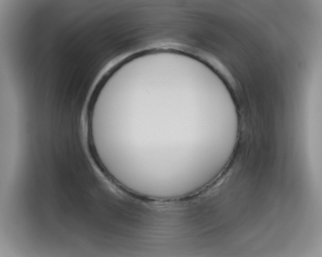 X0000115701032200911191225