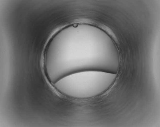 X0000115701040200911191225