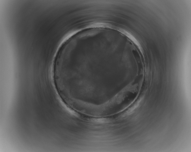 X0000115701045200911191225