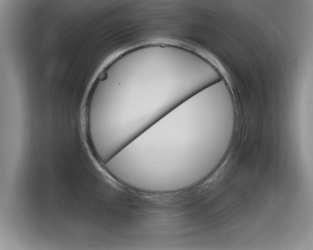 X0000115701048200911191225