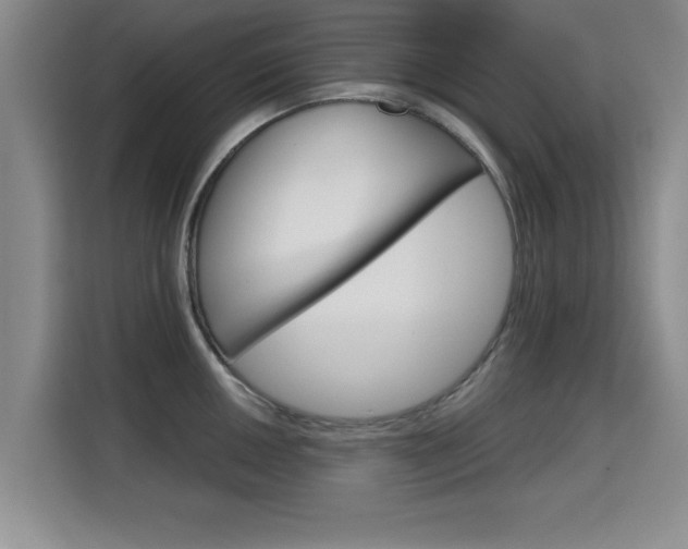 X0000115701050200911191225