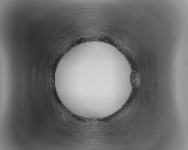 X0000115701059200911191225