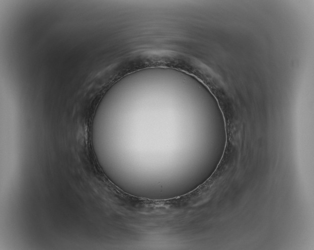 X0000115701061200911191225