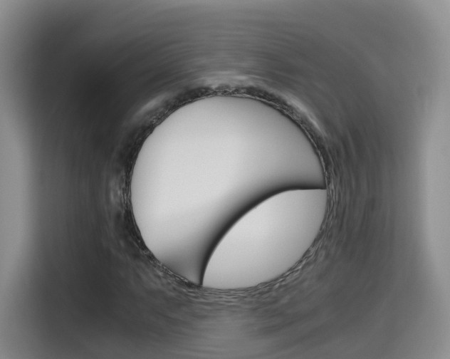 X0000115701063200911191225