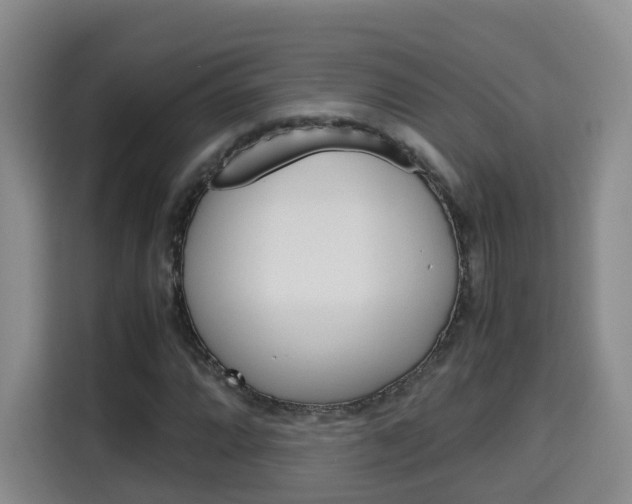 X0000115701064200911191225