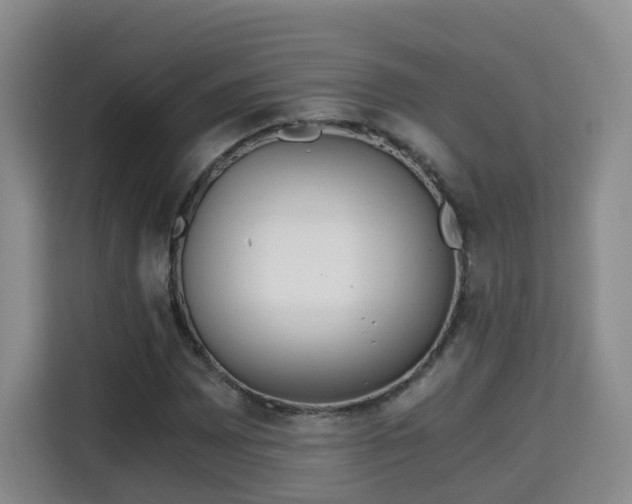 X0000115701065200911191225