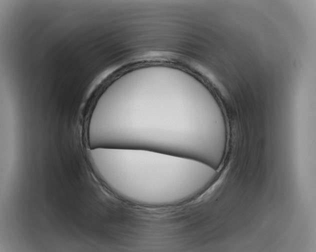 X0000115701066200911191225