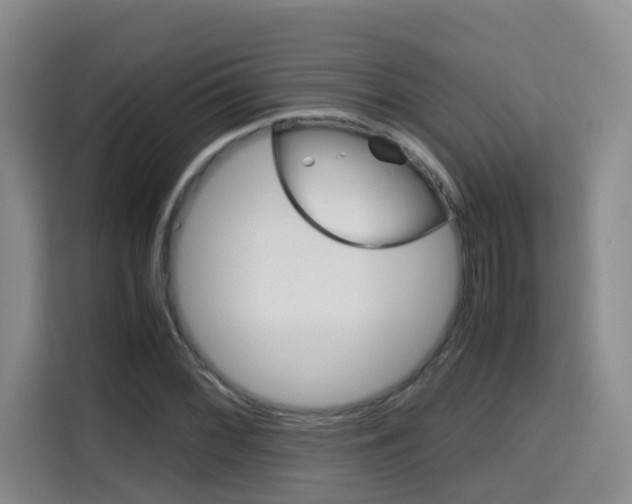 X0000115701068200911191225