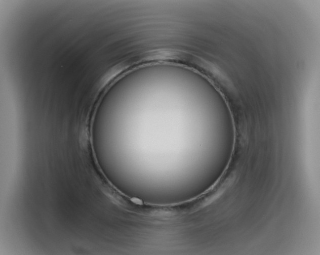 X0000115701073200911191225