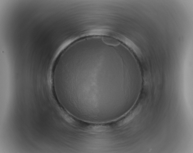 X0000115701077200911191225