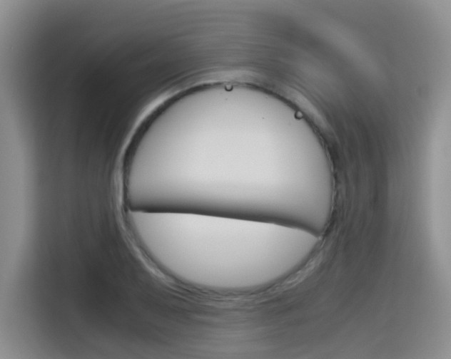 X0000115701079200911191225