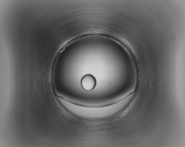 X0000115701081200911191225