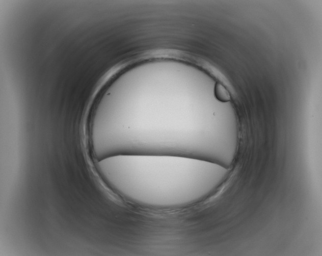 X0000115701082200911191225