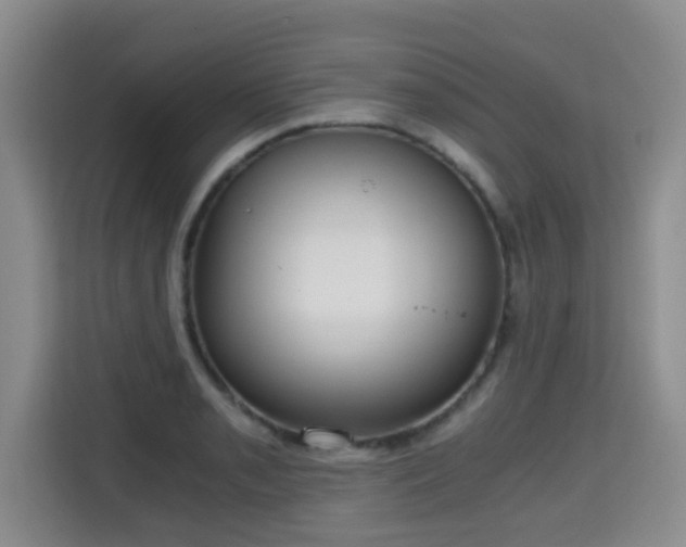 X0000115701085200911191225