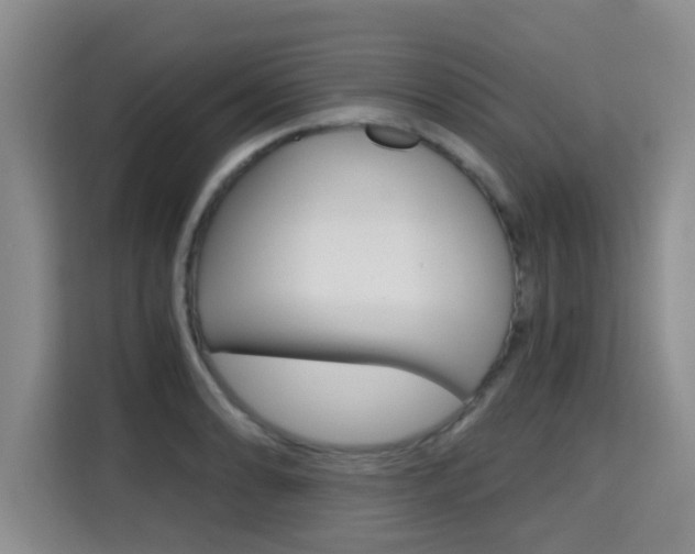 X0000115701086200911191225