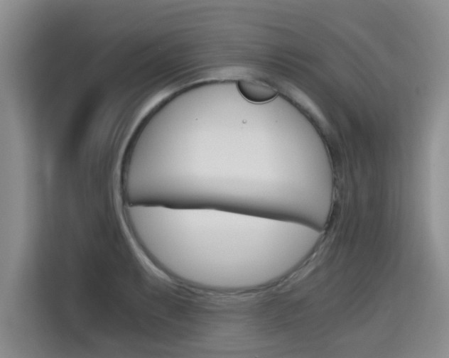 X0000115701087200911191224