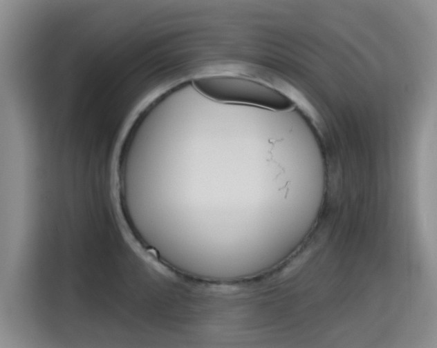 X0000115701088200911191224