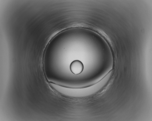 X0000115701089200911191224