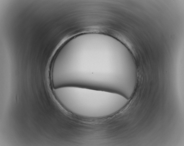 X0000115701091200911191224