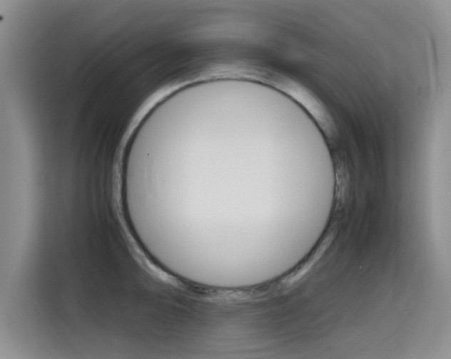 X0000115701094200911191224