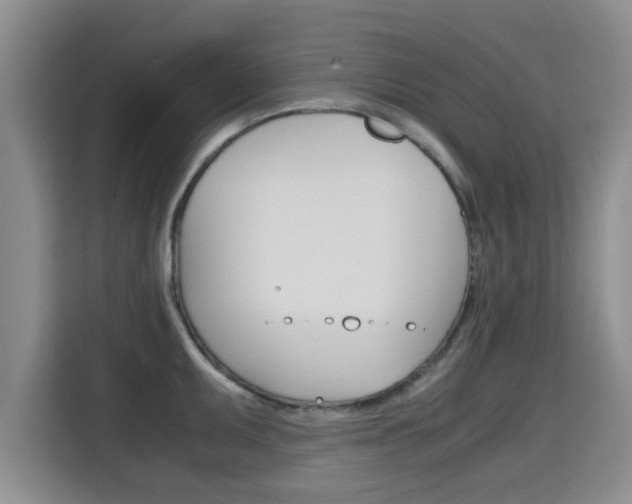 X0000115701095200911191224