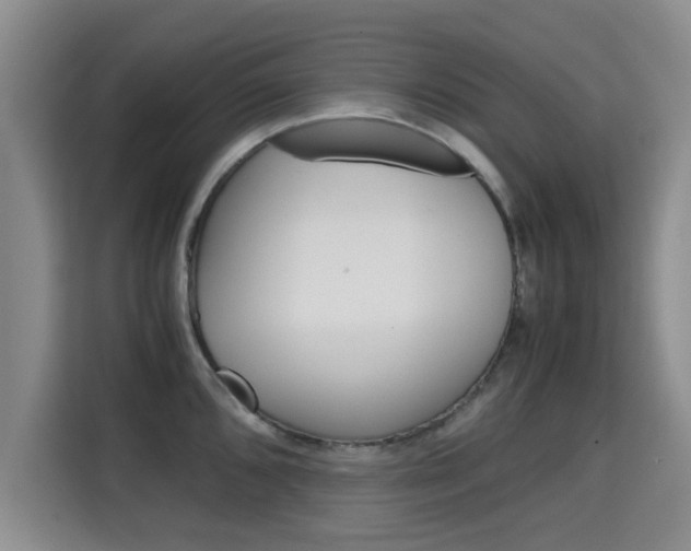 X0000115701096200911191224